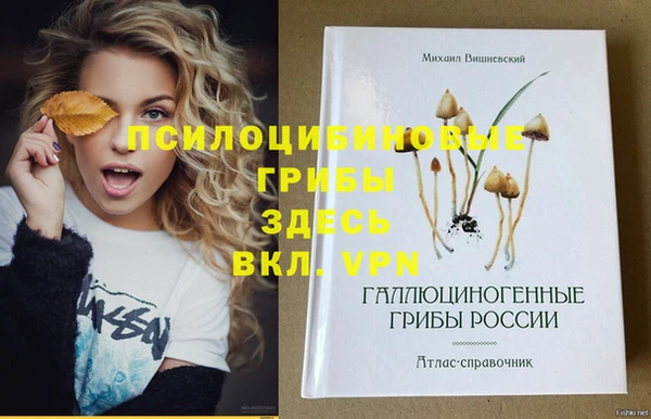 прущие крисы Алексин