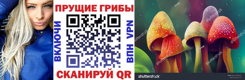omg маркетплейс  Слободской  Псилоцибиновые грибы мицелий 